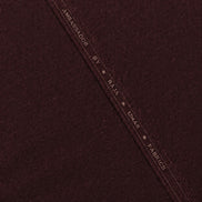 Ambassador